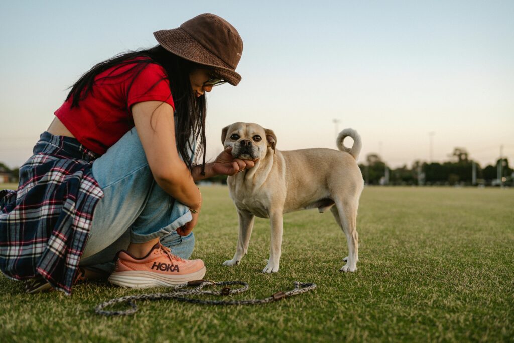 Lemonade Pet Insurance