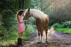 Nationwide Pet Insurance